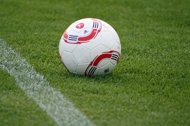 为球队提供 为球队提供