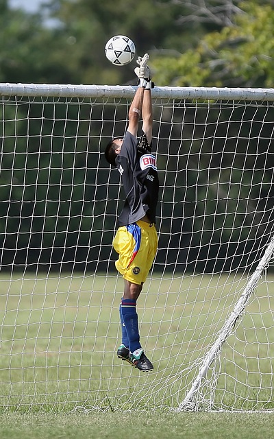 也是人生的 也是人生的