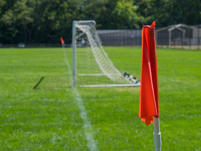 还拥有一些 还拥有一些