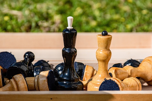 球员的存在 球员的存在