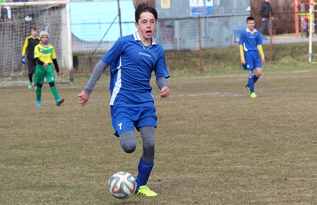 森纳的战略 森纳的战略