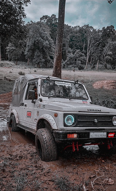 敏锐的进攻 敏锐的进攻