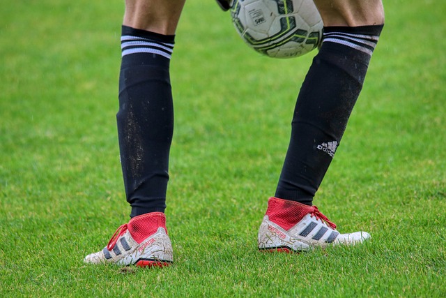 湖人防守资 湖人防守资